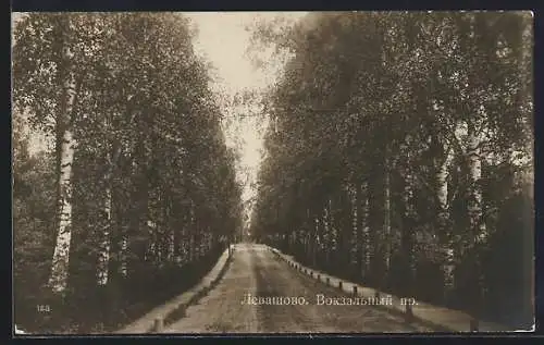 AK Lewaschowo, Birkenallee am Bahnhof