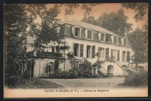 AK Salies-de-Béarn /B.-P., Château de Mesqueros