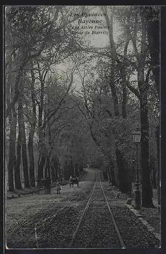 AK Bayonne, Les Pyrénées, Les Allées Paulmy, Route de Biarritz