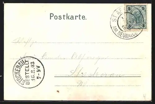 AK St. Aegyd, Blick über die Dächer des Ortes