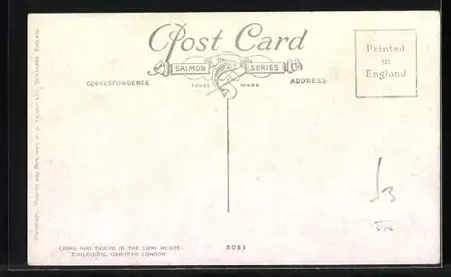 Künstler-AK Löwen und Tiger in Käfigen