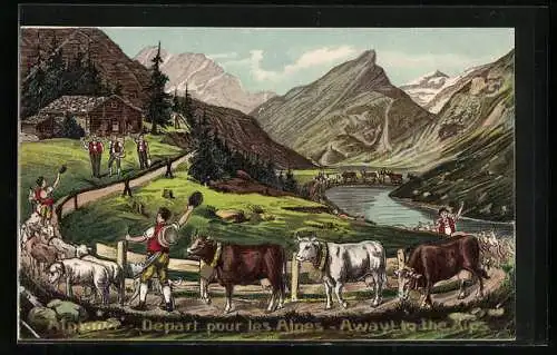 Lithographie Alpfahrt, Almauftrieb, Rinder