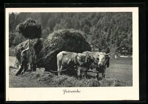 AK Feldarbeiter mit Ochsengespann