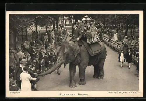 AK London, Garden of the Zoological Society, Regent`s Park, Elephant Riding