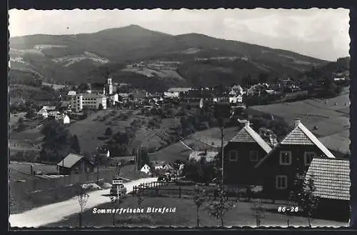 AK Birkfeld, Teilansicht mit Landstrasse