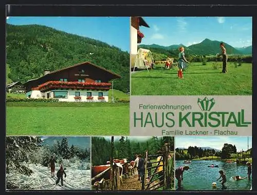 AK Flachau /Salzburger Land, Pension Haus Kristall der Fam. Lackner, Freibad, Langlaufleupen, Kuhweide