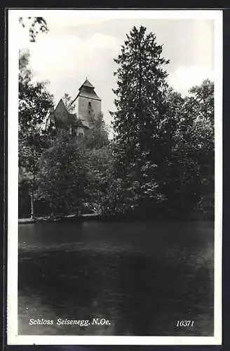 AK Viehdorf /N.Oe., Blick zum Schloss Seisenegg