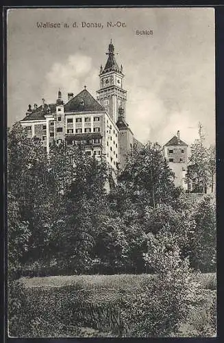 AK Wallsee a. d. Donau, Schloss mit Anlagen