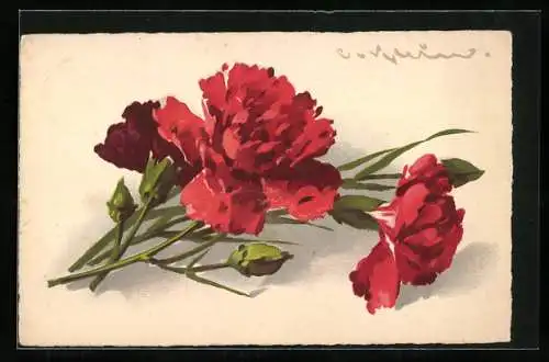 Künstler-AK Catharina Klein: Rote Nelken mit Knospen