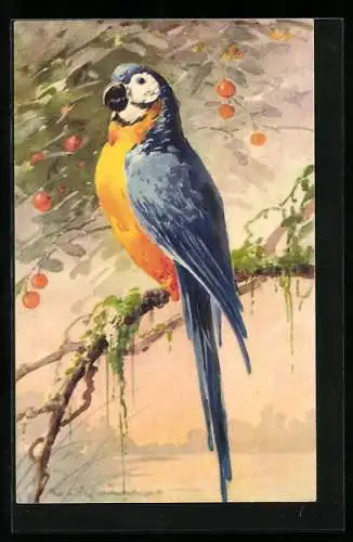 Künstler-AK Catharina Klein: Blauer Ara auf Ast mit roten Beeren im Hintergrund