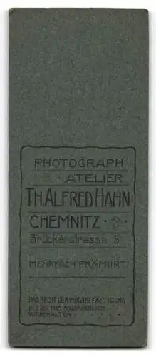 Fotografie Th. Alfred Hahn, Chemnitz, Brückenstrasse 5, Stehende Dame in elegantem Kleid