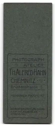 Fotografie Th. Alfred Hahn, Chemnitz, Brückenstrasse 5, Porträt einer Dame in eleganter Kleidung