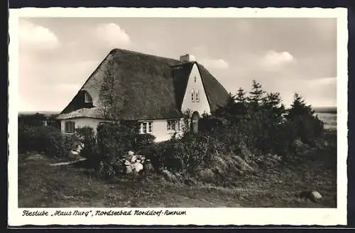 AK Norddorf / Amrum, Partie mit Café-Teestube Haus Burg