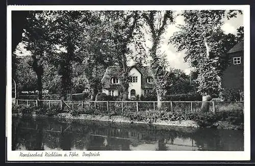 AK Nieblum a. Föhr, Nordseebad, Dorfteich