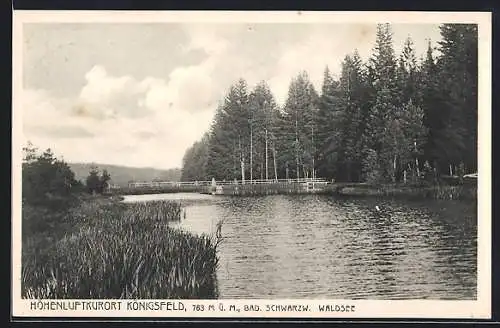 AK Königsfeld / Schwarzwald, Partie am Waldsee