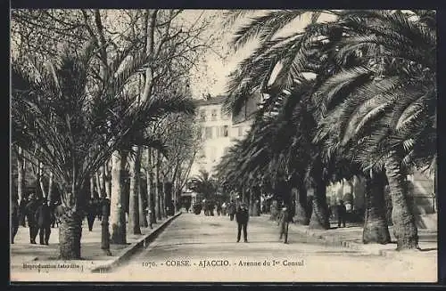 AK Ajaccio /Corse, Avenue du I. Consul