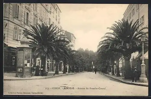 AK Ajaccio /Corse, Avenue du Premier-Consul