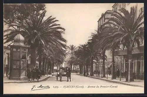 AK Ajaccio /Corse, Avenue du Premier-Consul