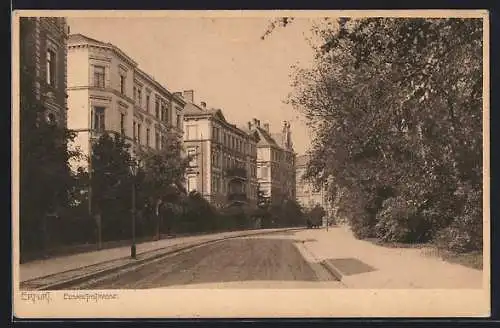 AK Erfurt, Elisabethstrasse im Sonnenschein