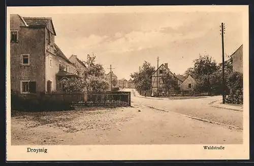 AK Droyssig, Waldstrasse mit Fachwerkhaus