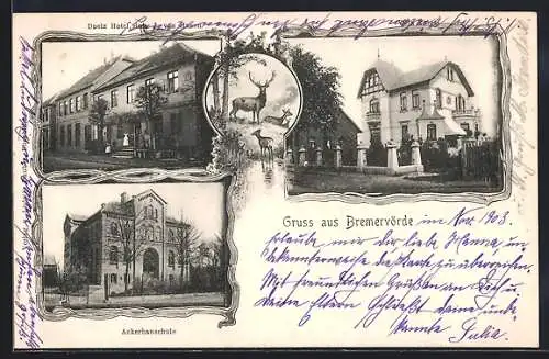 AK Bremervörde, Daetz Hotel, Villa Thies, Ackerbauschule