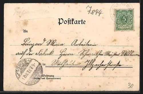 Lithographie Neuenburg a. R., Bierbrauerei Müller, Rathaus, Stadtkirche