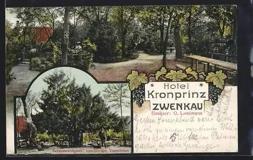 AK Zwenkau, Das Hotel Kronprinz v. O. Landmann mit Gartenwirtschaft, 1000-jähriger Taxusbaum