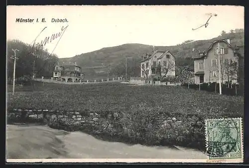 AK Münster i. E., Dubach, Häuser mit Feld