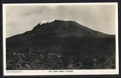 AK Kibo, Panorama from Saddle Plateau