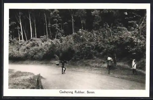 AK Benin, Gathering Rubber