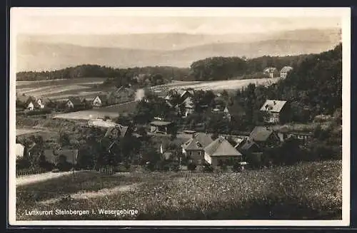 AK Steinbergen i. Wesergebirge, Ortsansicht aus der Vogelschau