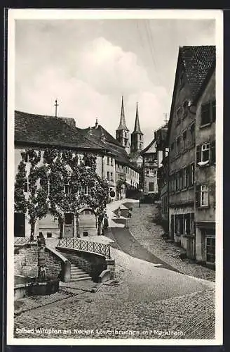 AK Bad Wimpfen, Der Löwenbrunnen mit Marktrain