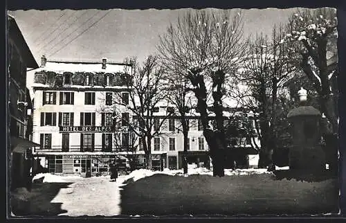 AK Barcelonnette /B.-A., Hotel des Alpes