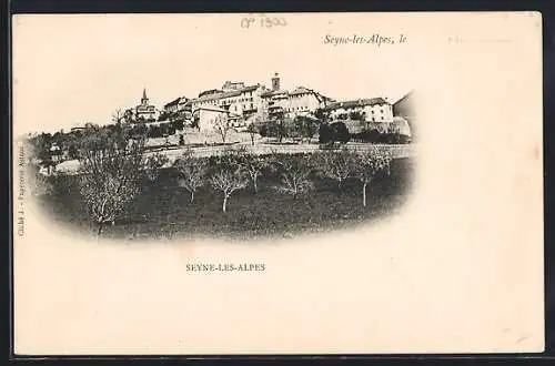 AK Seyne-les-Alpes, Panorama