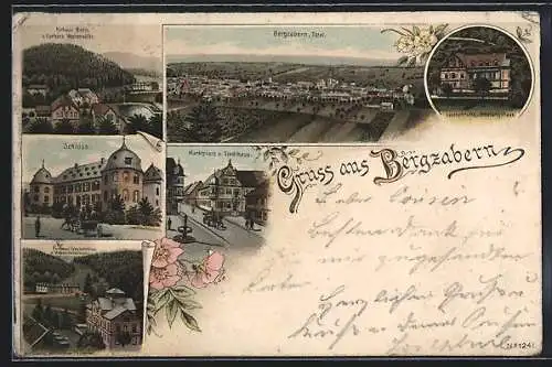 Lithographie Bergzabern, Kurhaus Bopp & Kurhaus Westenhöfer, Schloss, Marktplatz und Stadthaus, Luisenruhe
