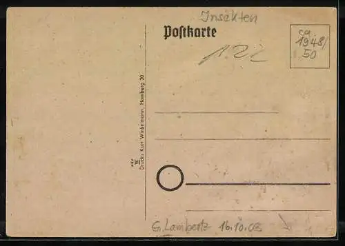 Künstler-AK sign. G. Lambertz: Käfer-Schule auf einem Baum