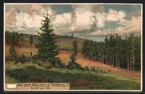 AK Feldberg i. T., Landschaftsidylle am Gr. Feldberg