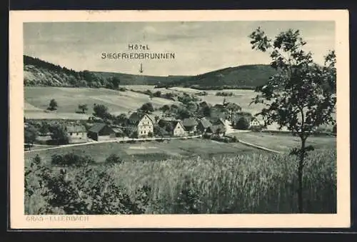 AK Gras-Ellenbach i. Odenwald, Teilansicht mit Hotel und Pension zum Siegfriedbrunnen