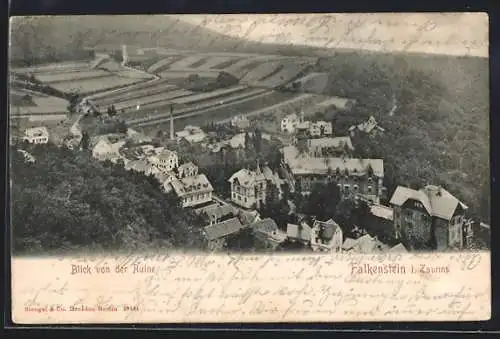 AK Falkenstein / Taunus, Blick von der Ruine