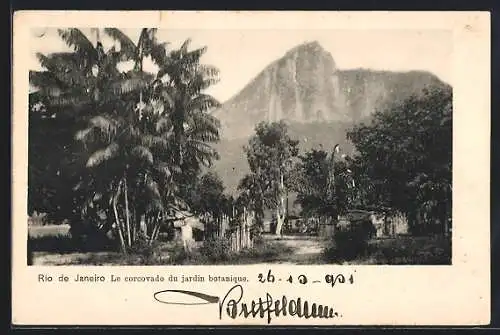 AK Rio de Janeiro, Le corcovado du jardin botanique