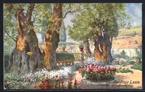 Künstler-AK Jerusalem, Garden of Gethsemane