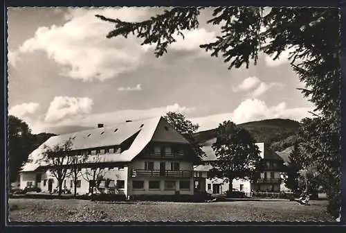 AK Bernau /Hochschwarzwald, Gasthof-Pension Rössle v. E. Mäule