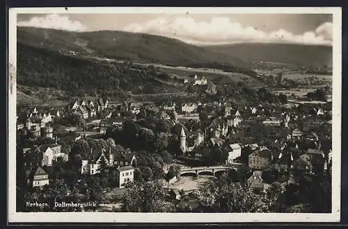 AK Herborn / Dillkreis, Ort mit Dollenbergblick