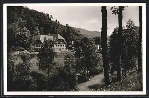 AK Schapbach im Wolftal, Gasthof zum Ochsen v. W. Armbruster