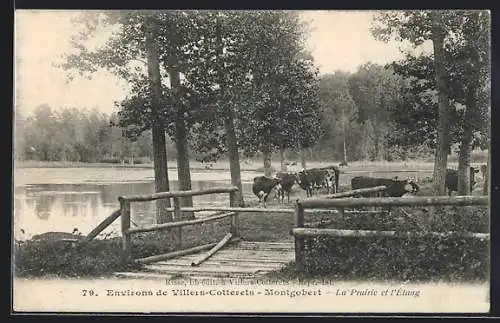 AK Montgobert /Villers-Cotterets, La Prairie et l`Étang