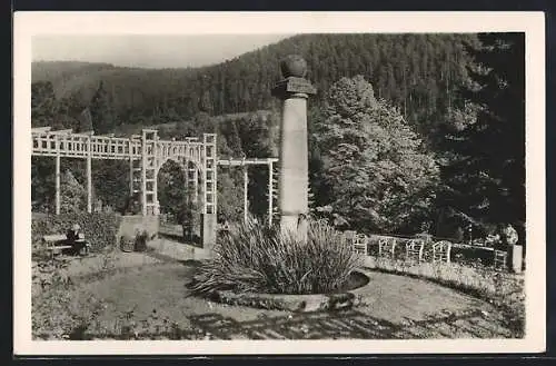 AK Wildbad / Enz, Partie im Kurgarten