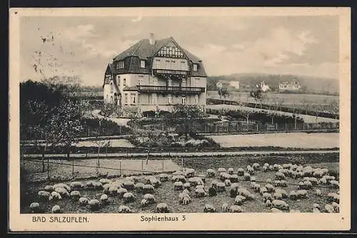 AK Bad Salzuflen, Das Kurhotel Sophienhaus 3