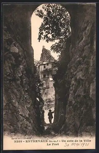 AK Entrevaux /B.-A., Un coin de la Ville, le Fort