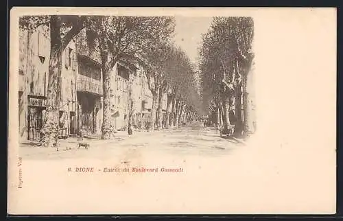 AK Digne, Entrée du Boulevard Gassendi