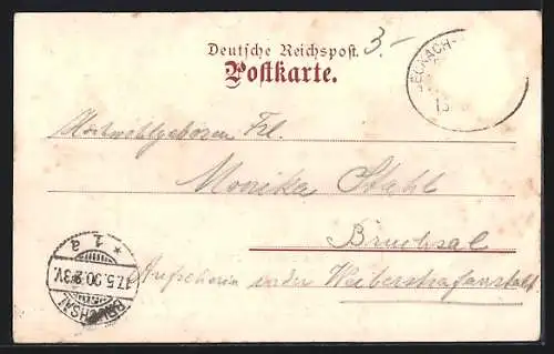 AK Buchen / Odenwald, Kriegerdenkmal, Burghardtdenkmal, Gesamtansicht